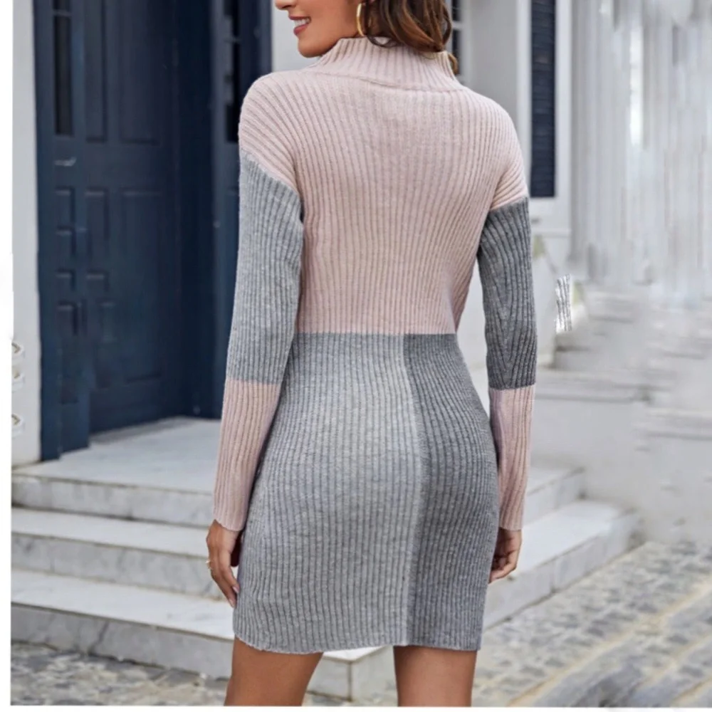 High Neck Color Block‎ Sweater Dress